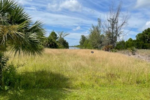 Land in Port Charlotte, Florida № 1520989 - photo 1