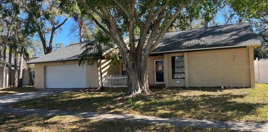 Villa ou maison à Palm Harbor, Floride 3 chambres, 162.49 m2 № 2141916