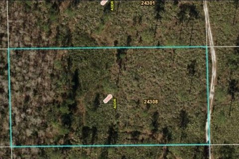 Land in Orlando, Florida № 2160506 - photo 2