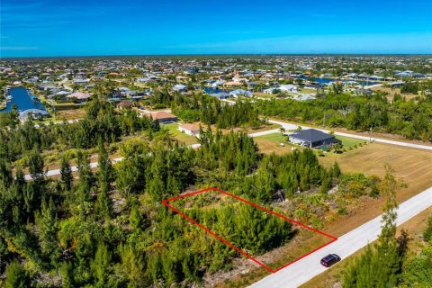 Купить земельный участок в Порт-Шарлотт, Флорида № 2163922 - фото 3