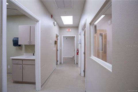 Immobilier commercial à vendre à Beverly Hills, Floride: 360.65 m2 № 2279808 - photo 29