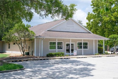 Immobilier commercial à vendre à Beverly Hills, Floride: 360.65 m2 № 2279808 - photo 7