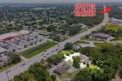 Immobilier commercial à vendre à Beverly Hills, Floride: 360.65 m2 № 2279808 - photo 2