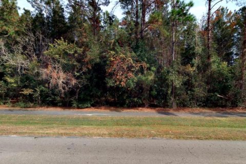 Terreno en venta en Gainesville, Florida № 1911769 - foto 2