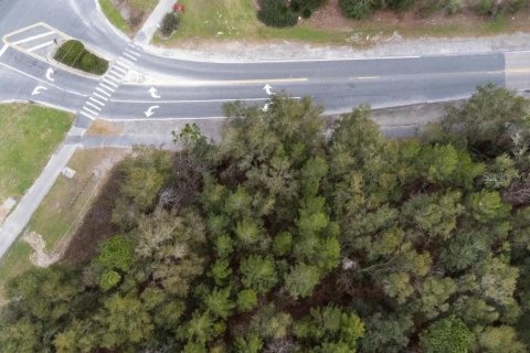 Terreno en venta en Gainesville, Florida № 1911769 - foto 5