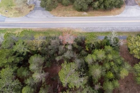 Terreno en venta en Gainesville, Florida № 1911769 - foto 4