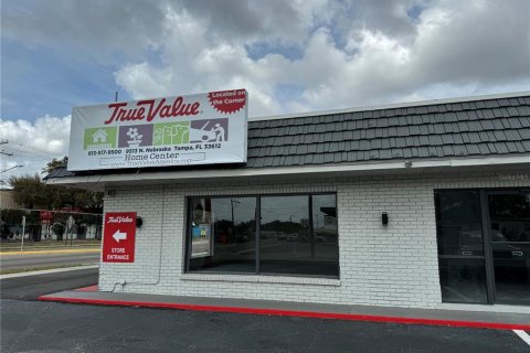 Commercial property in Tampa, Florida 273.41 sq.m. № 1105294 - photo 2