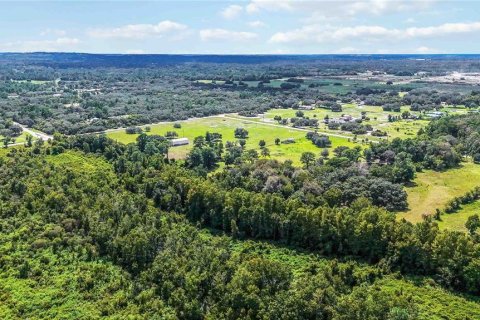 Land in Astatula, Florida № 2383483 - photo 11