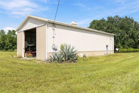Land in Astatula, Florida № 2383483 - photo 12