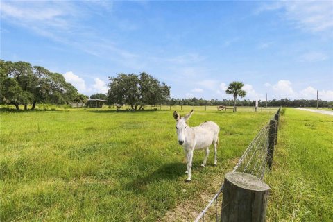 Land in Astatula, Florida № 2383483
