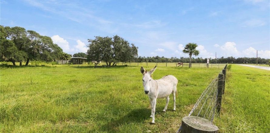Land in Astatula, Florida № 2383483