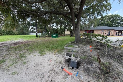 Land in Kissimmee, Florida № 2219501 - photo 4