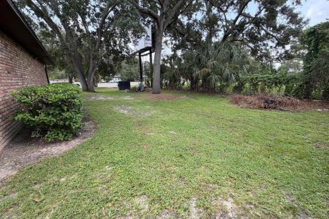 Land in Kissimmee, Florida № 2219501 - photo 3
