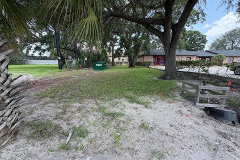 Land in Kissimmee, Florida № 2219501