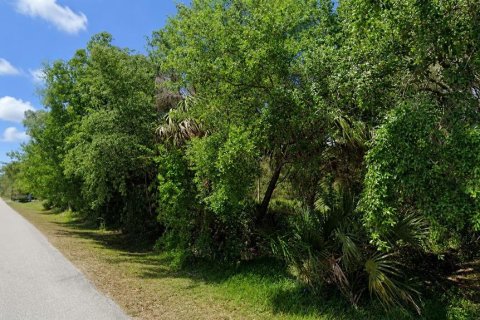 Land in Punta Gorda, Florida № 2258498