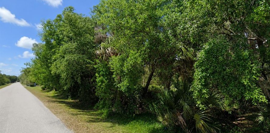 Terrain à Punta Gorda, Floride № 2258498