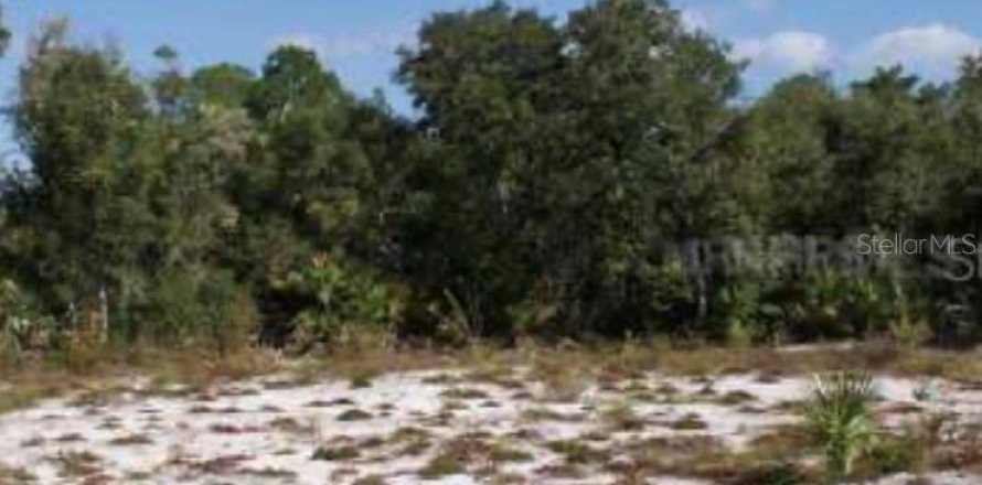 Land in Eustis, Florida № 1879501