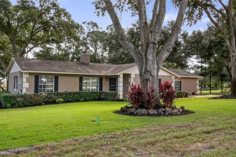 Villa ou maison à Clermont, Floride 3 chambres, 208.57 m2 № 2431777