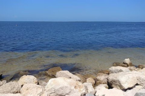 Commercial property in New Port Richey, Florida 93.65 sq.m. № 2296899 - photo 24