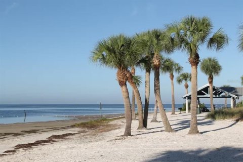 Commercial property in New Port Richey, Florida 93.65 sq.m. № 2296899 - photo 23