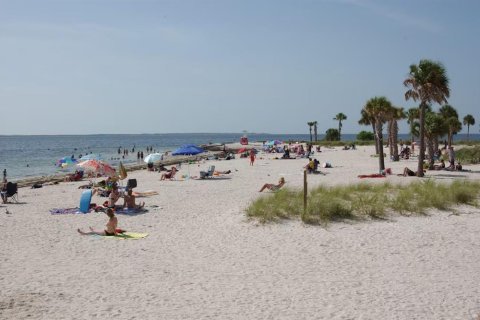 Commercial property in New Port Richey, Florida 93.65 sq.m. № 2296899 - photo 26