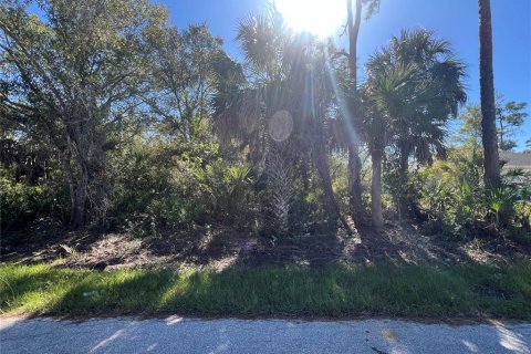 Land in Punta Gorda, Florida № 2162577