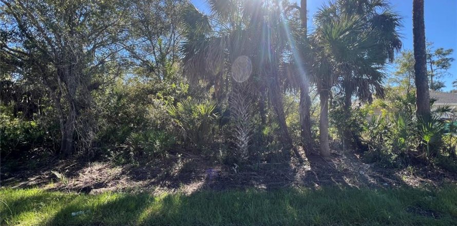 Land in Punta Gorda, Florida № 2162577