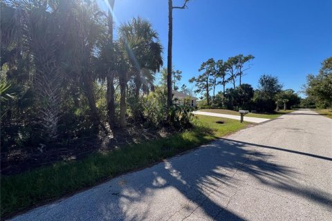 Land in Punta Gorda, Florida № 2162577 - photo 3