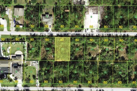 Land in Punta Gorda, Florida № 2162577 - photo 5