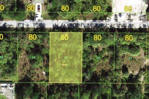 Land in Punta Gorda, Florida № 2162577 - photo 2