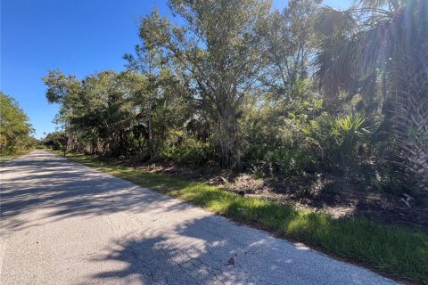 Land in Punta Gorda, Florida № 2162577 - photo 4
