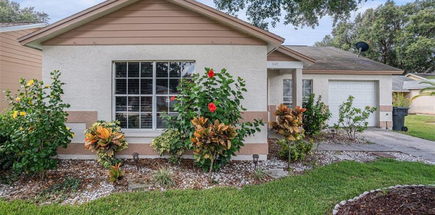 Villa ou maison à Valrico, Floride 3 chambres, 134.24 m2 № 1876315