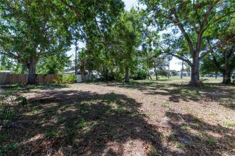 Land in Saint Petersburg, Florida № 1669915 - photo 6