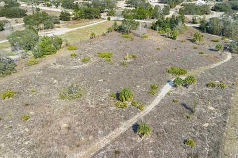 Terrain à vendre à Homosassa, Floride № 2224789 - photo 4
