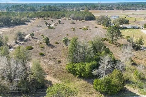Terrain à vendre à Homosassa, Floride № 2224789 - photo 6