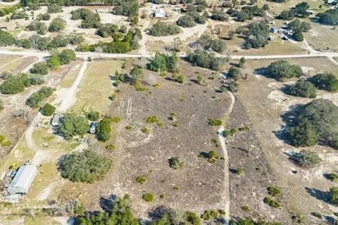 Terrain à vendre à Homosassa, Floride № 2224789 - photo 5