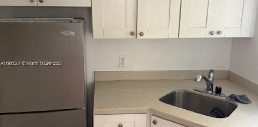 Studio à Condo à Miami Beach, Floride  № 2013763