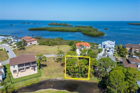 Land in Tarpon Springs, Florida № 2127446