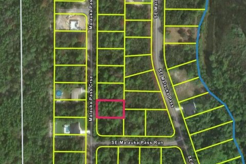 Land in Ocklawaha, Florida № 2162497