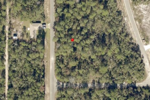 Land in Ocklawaha, Florida № 2162497 - photo 2