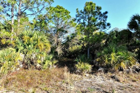Land in North Port, Florida № 2164208 - photo 2