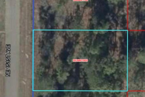 Terrain à Williston, Floride № 2228946
