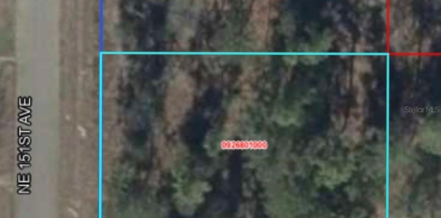 Terrain à Williston, Floride № 2228946