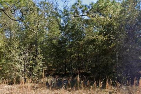 Terrain à vendre à Williston, Floride № 2228946 - photo 4