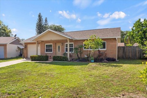 Villa ou maison à louer à New Port Richey, Floride: 2 chambres, 83.61 m2 № 1901101 - photo 2