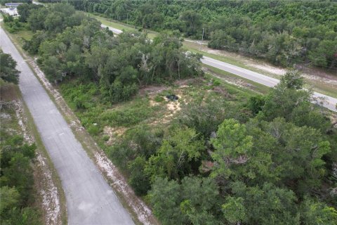 Land in Kissimmee, Florida № 1918647 - photo 7