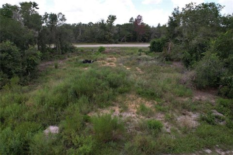 Land in Kissimmee, Florida № 1918647 - photo 2