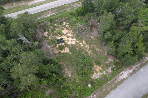 Land in Kissimmee, Florida № 1918647 - photo 8