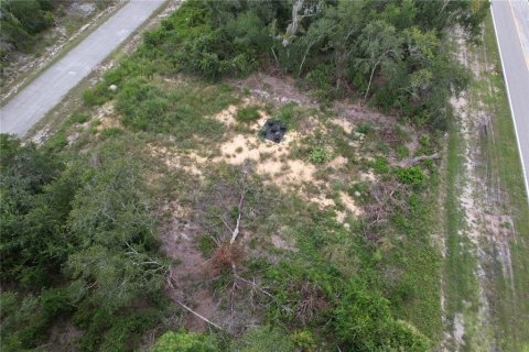 Land in Kissimmee, Florida № 1918647 - photo 5