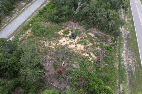 Land in Kissimmee, Florida № 1918647 - photo 6